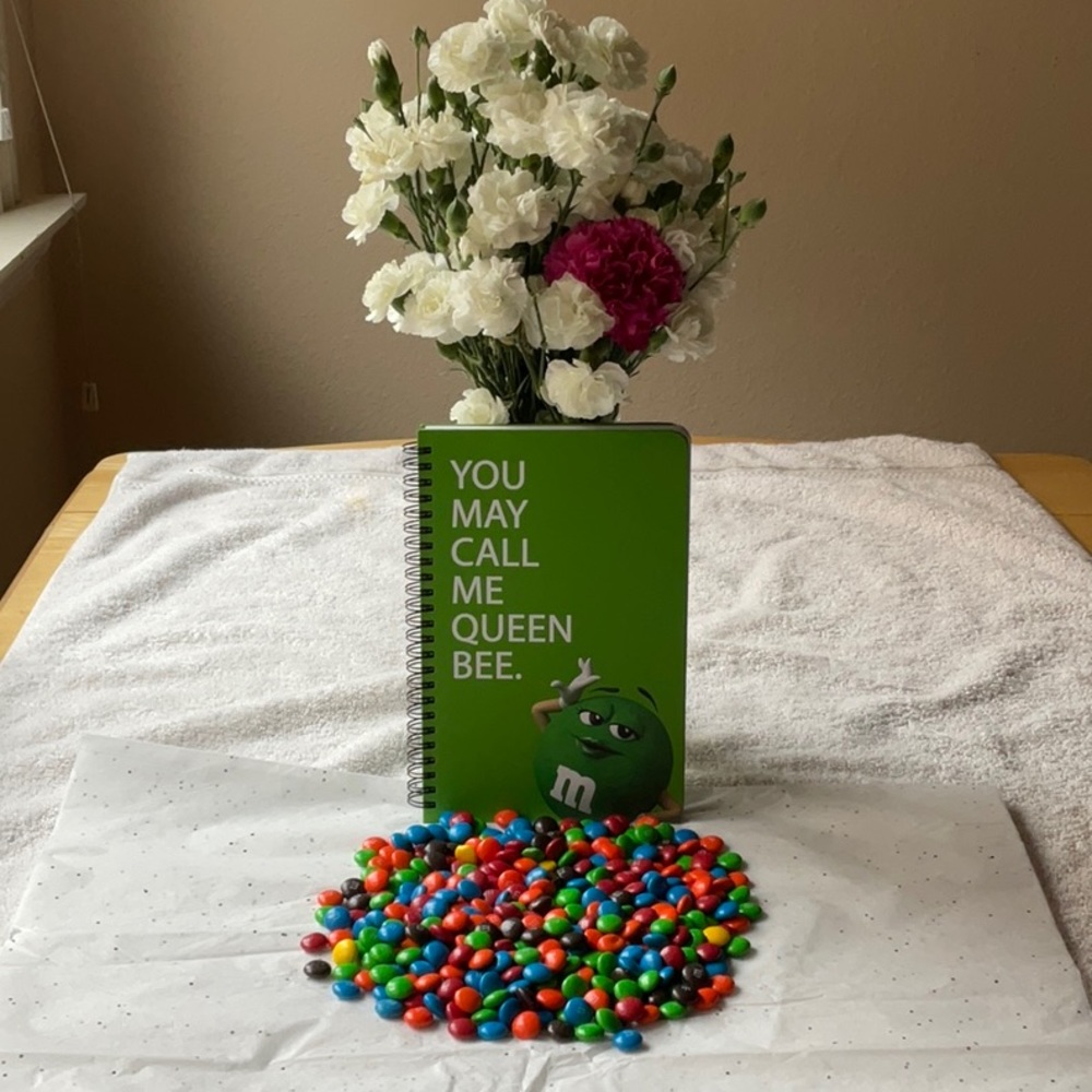 📗💙 M&M’S NOTEBOOK 📗💙 - Picture 12 of 16